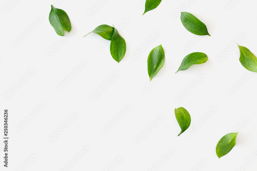 Green leaves mockup Green leaves mockup
