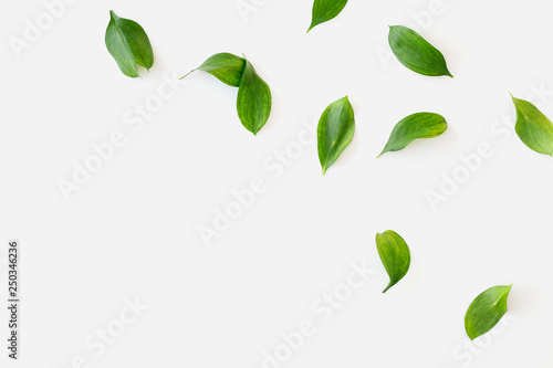 Green leaves mockup