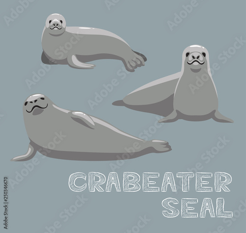 Crabeater Seal Cartoon Vector Illustration