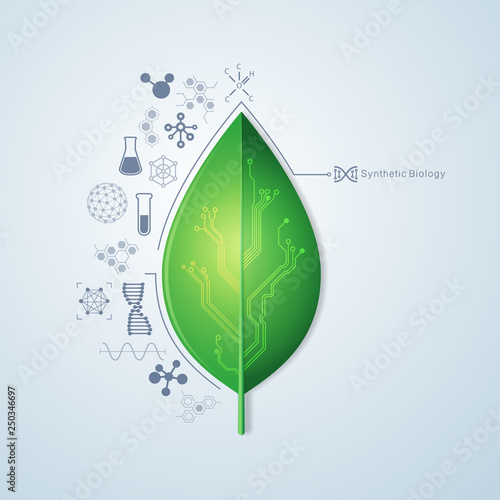 synthetic Biology