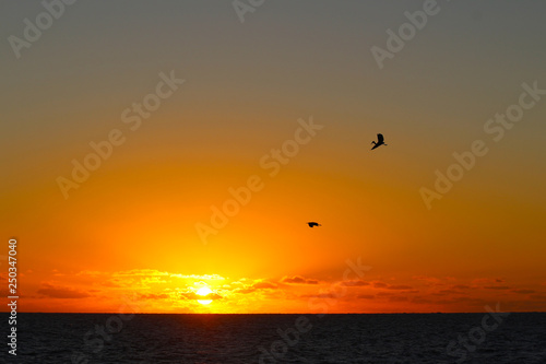 Silhouette of two birds at sunset, Kuata Island, Yasawa Islands, Fiji © Marco Ramerini
