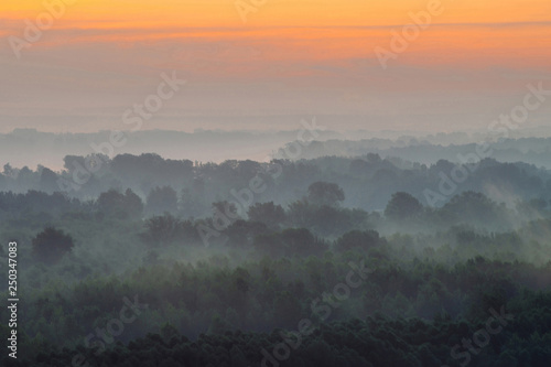 Mystical view from top on forest under haze at early morning. Mist among layers from tree silhouettes in taiga under predawn sky. Calm morning atmospheric minimalistic landscape of majestic nature.