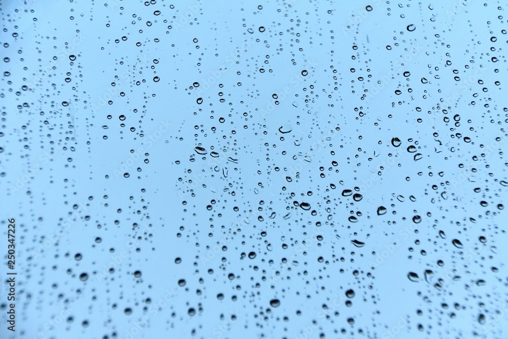 Rain on a Window