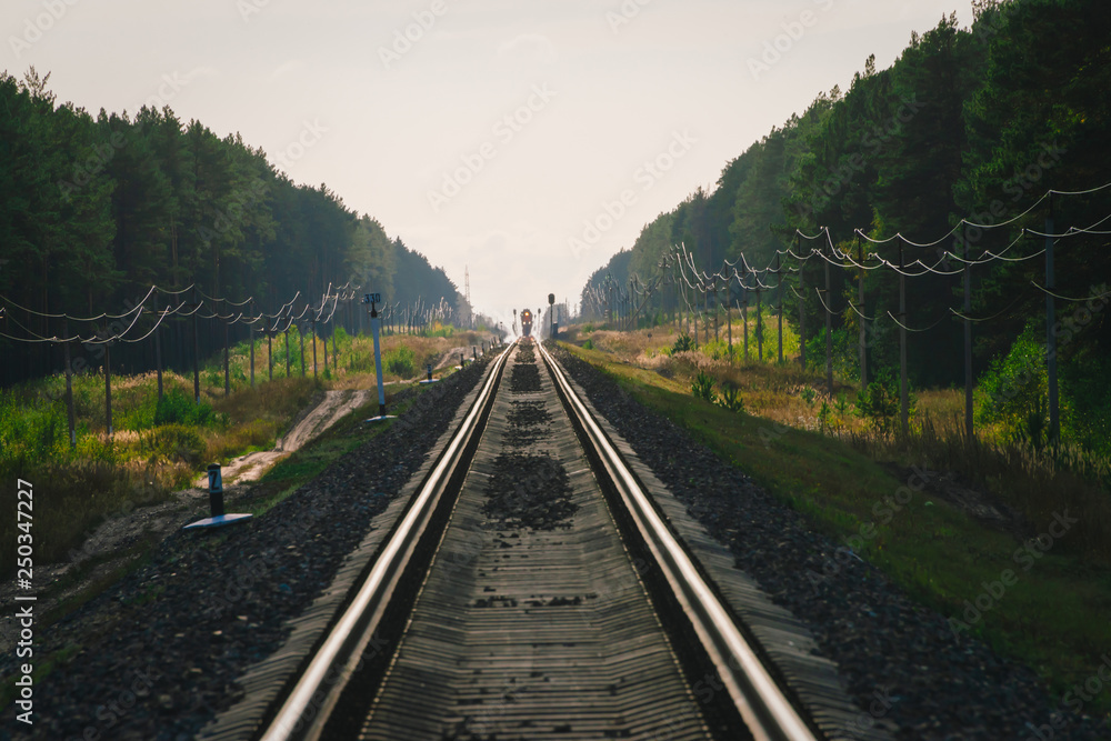 Fototapeta premium Mystic train travels by rail along forest. Railway traffic light and locomotive on railroad in distance. Mirage on railway track. Atmospheric landscape.