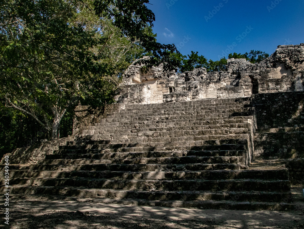  Lost in the jungle park Calakmul in Mexico. Pyramids in the jungle