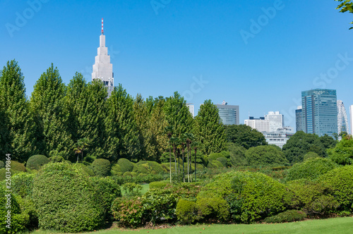 Summer park landscape with tall office buildings on the background