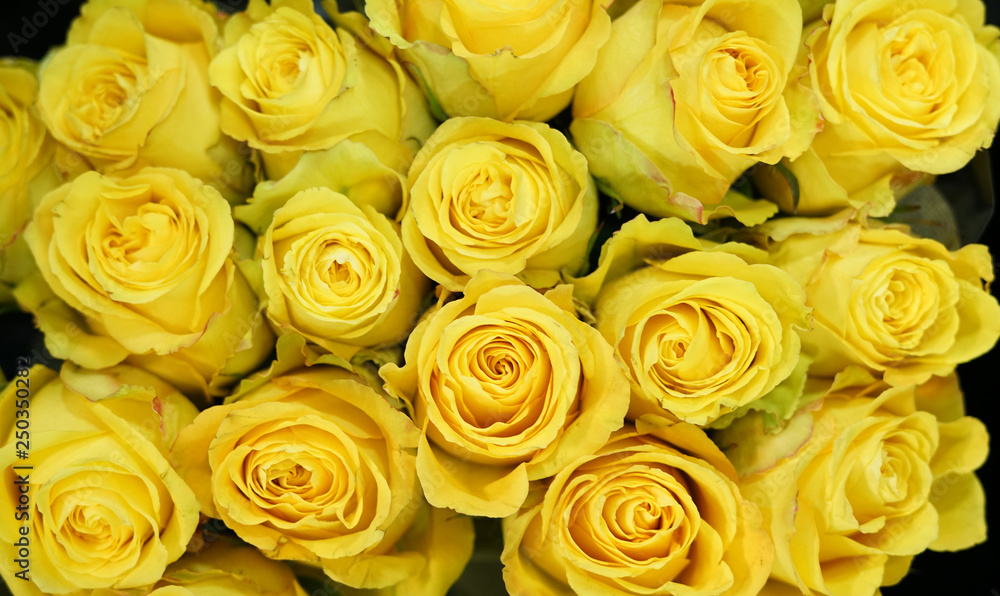 Fresh yellow roses bouquet flower background 