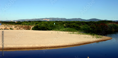 Delta del Llobregat. Natural Park in Barcelona. El Prat. Spain