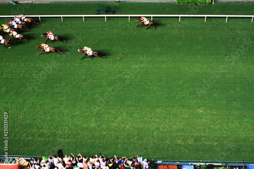 Photography a night racig at Happy Valley racing field