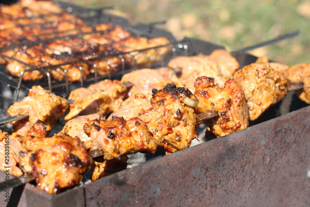 meat on the grill meat on the grill