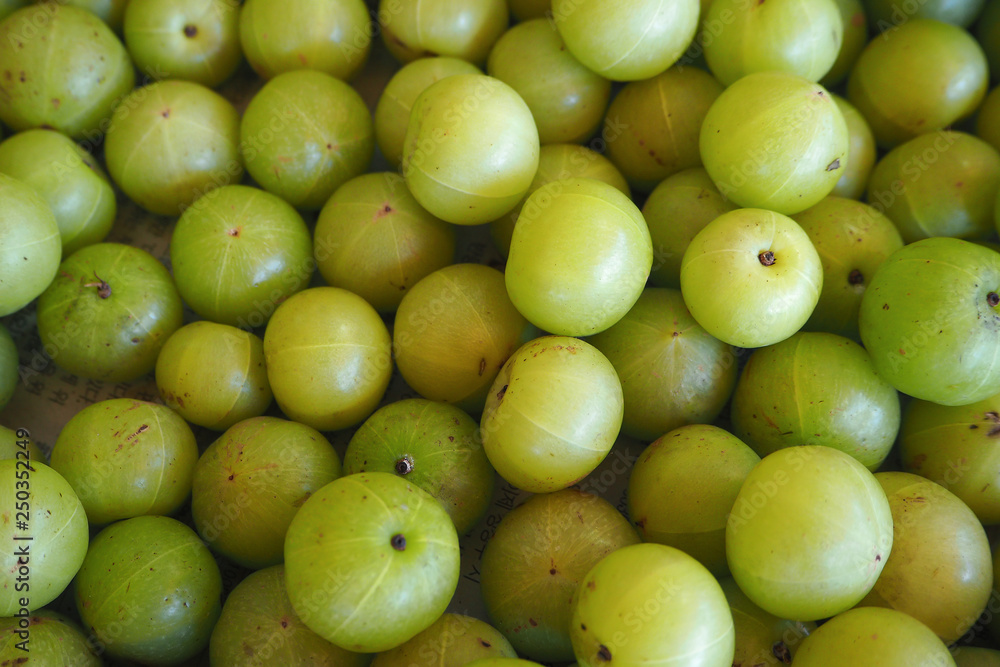 Indian Gooseberry for healthy eating 
