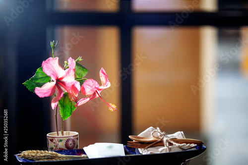 close up of beautiful hibiscus with nice background color photo