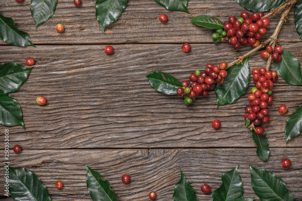 Close up fresh organic red coffee beans with coffee leaves on wooden background with copy space Close up fresh organic red coffee beans with coffee leaves on wooden background with copy space