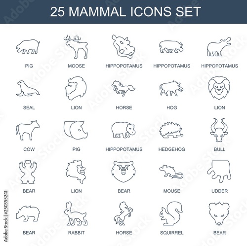 mammal icons