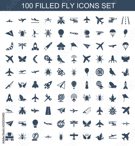 100 fly icons