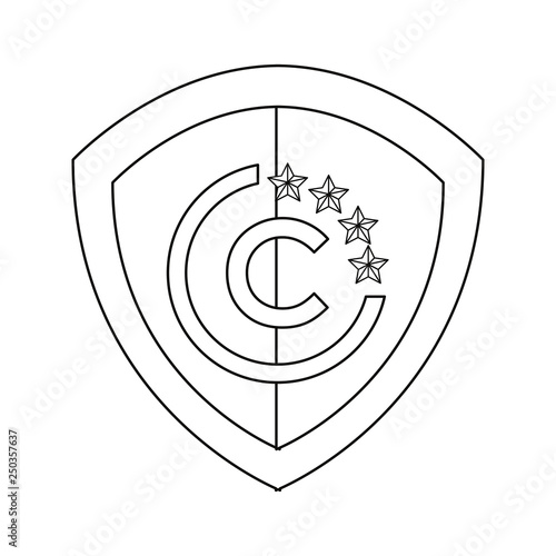 copyright protection of intellectual