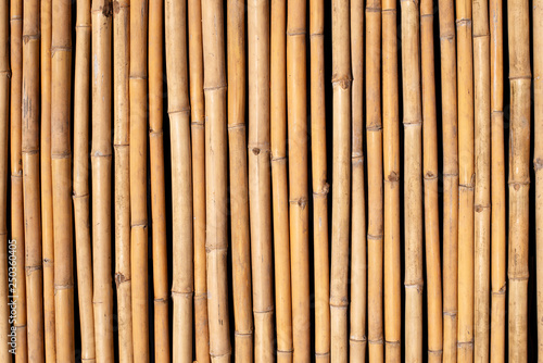 Fototapeta Naklejka Na Ścianę i Meble -  Bamboo texture wall background