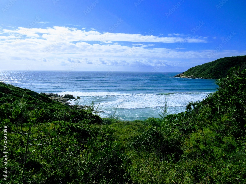 Obraz premium Beach, rocks, crystal clear water, trails, natural water pools, green plants and sun.