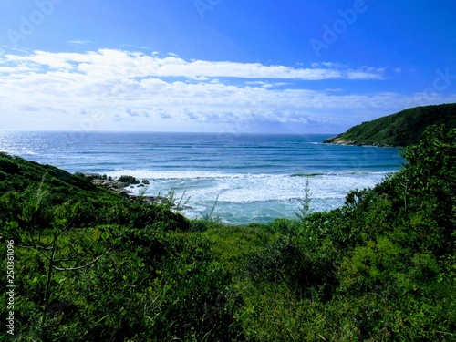 Wallpaper Mural  Beach, rocks, crystal clear water, trails, natural water pools, green plants and sun. Torontodigital.ca