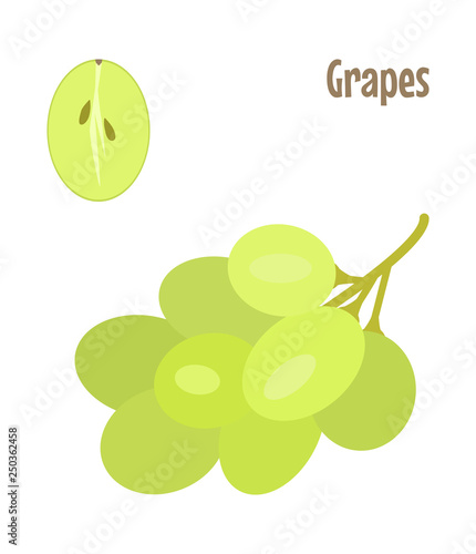 Green grapes and a cut piece. Raw food vector.