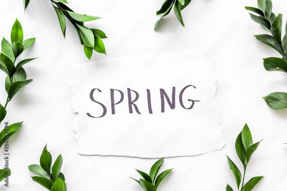 Spring concept. Hand lettering text spring near green branches and leaves on white background top view Spring concept. Hand lettering text spring near green branches and leaves on white background top view