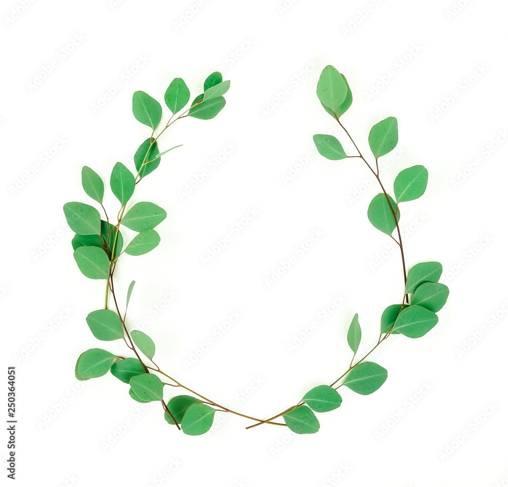 green eucalyptus branches herbs, leaves,  plants wreath on white background top view. copy space. flat lay