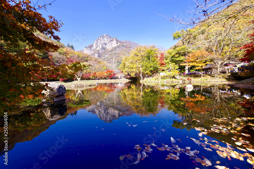 Autumn in the Naejangsan park, South Korea