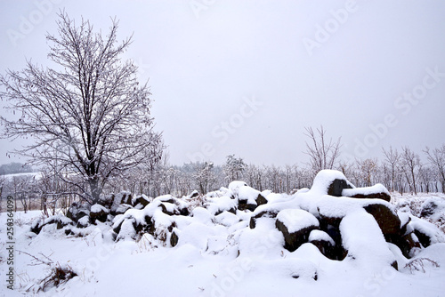 Snow falls, Gyeongsan, South Korea photo