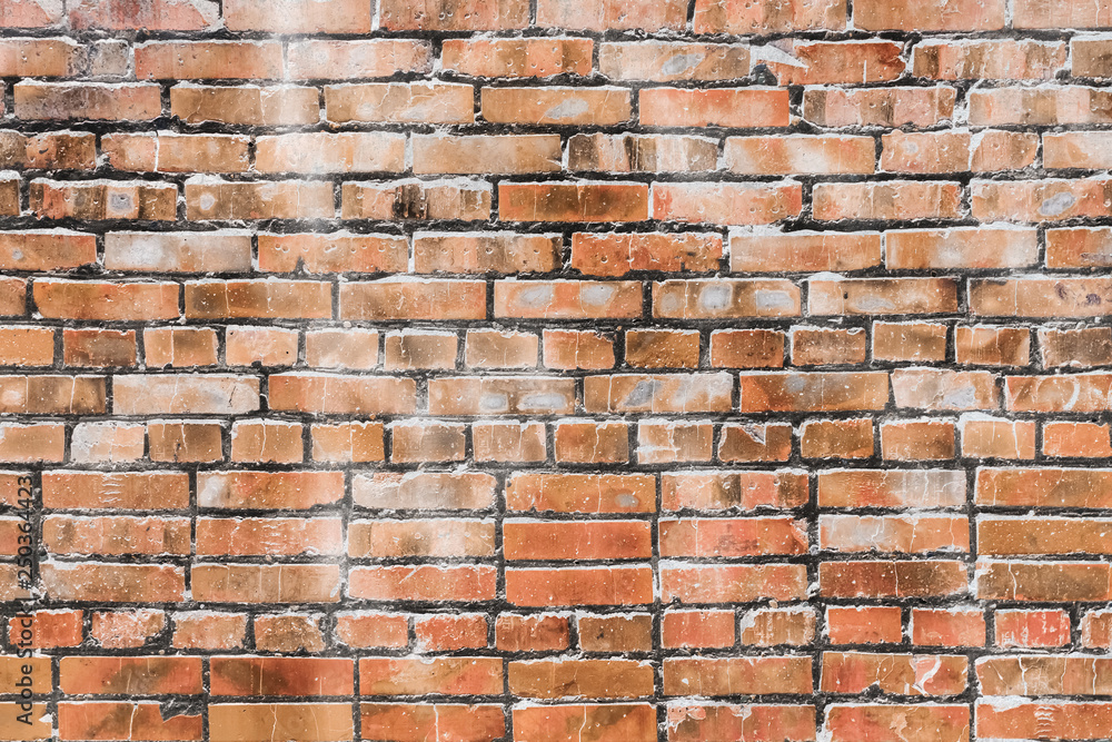Fototapeta premium brick wall