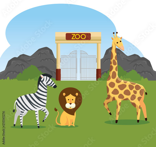 zebra with lion and giraffe wild animals reserve