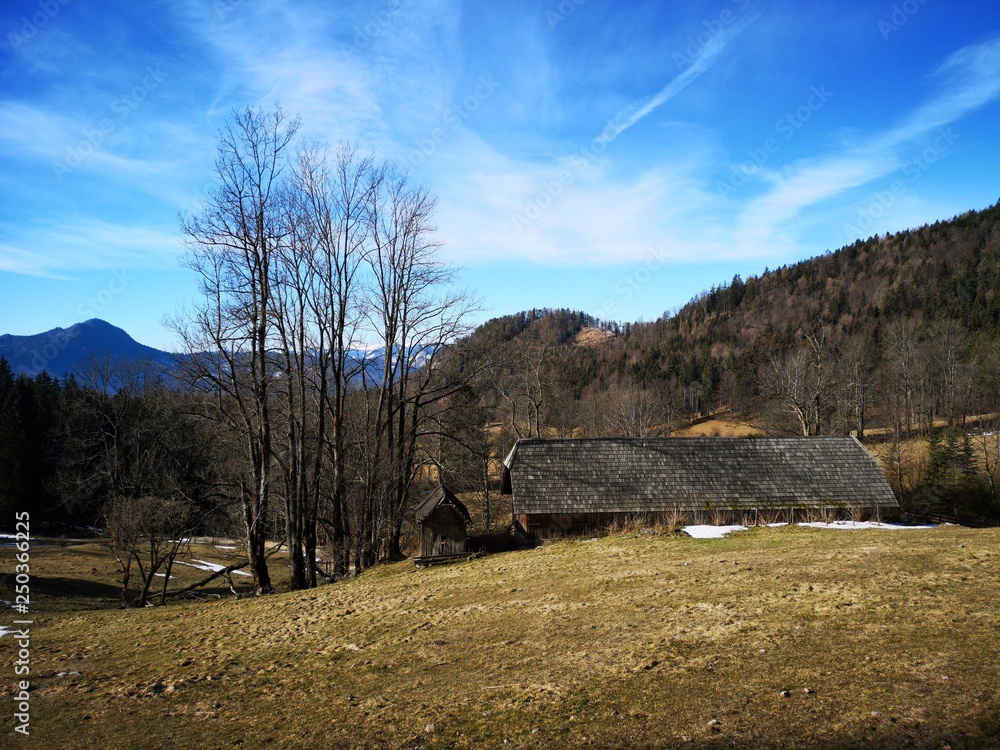 Bärenschützklamm Prügelweg im Winter