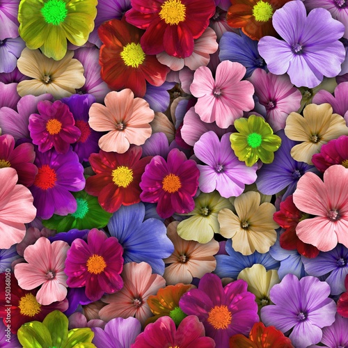 Colorful background with different flowers. Seamless.