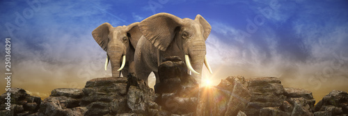 Słonie o zachodzie słońca renderowania 3d