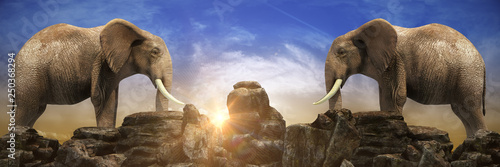 Elephants at sunset. 3d rendering