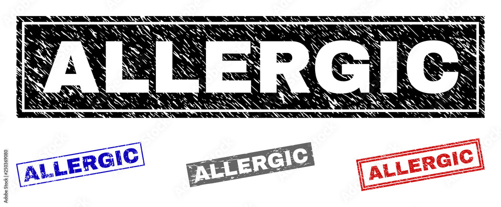 Grunge ALLERGIC rectangle stamp seals isolated on a white background. Rectangular seals with grunge texture in red, blue, black and grey colors. Grunge ALLERGIC rectangle stamp seals isolated on a white background. Rectangular seals with grunge texture in red, blue, black and grey colors.