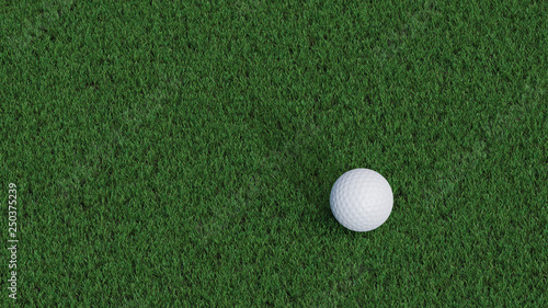 Up view of Golf ball waiting the club on a well cut lawn