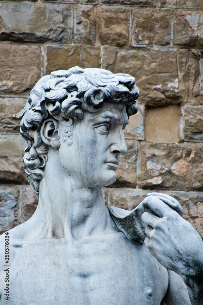 statue of Michelangelo's David in Florence in front of Palazzo Vecchio
