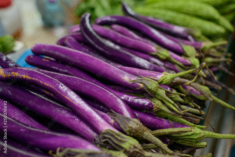 Purple long Chinese eggplants