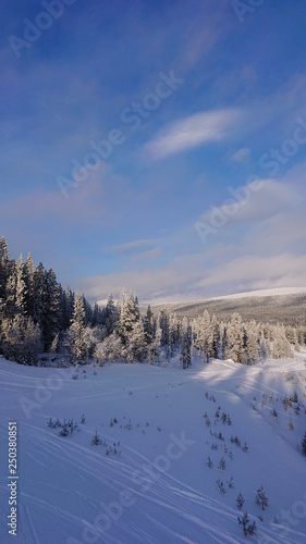 Snow covered trees in Idre, Sweden a cold winter morning with blue sky and clouds.  © Viktorishy