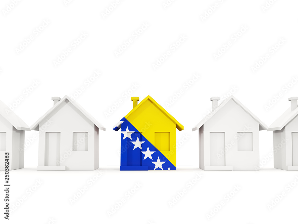 House with flag of bosnia and herzegovina House with flag of bosnia and herzegovina