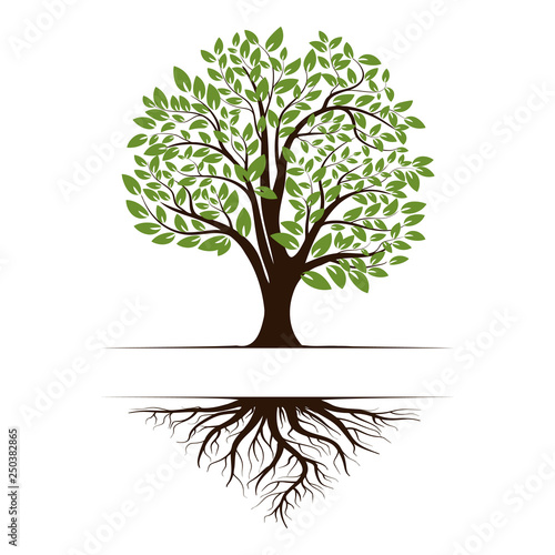 Logo of a green tree with roots and leaves. Vector illustration icon isolated on white background.