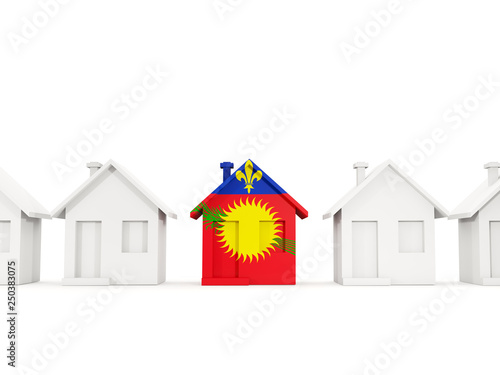House with flag of guadeloupe