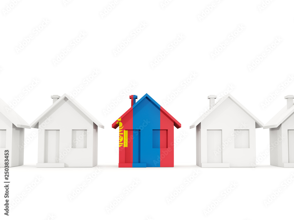 House with flag of mongolia
