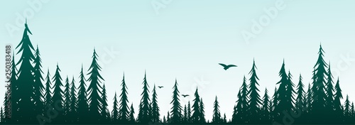 Forest landscape with birds.