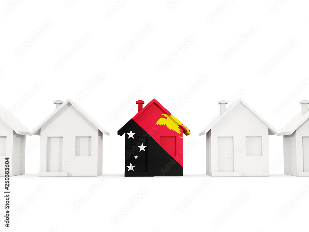 House with flag of papua new guinea