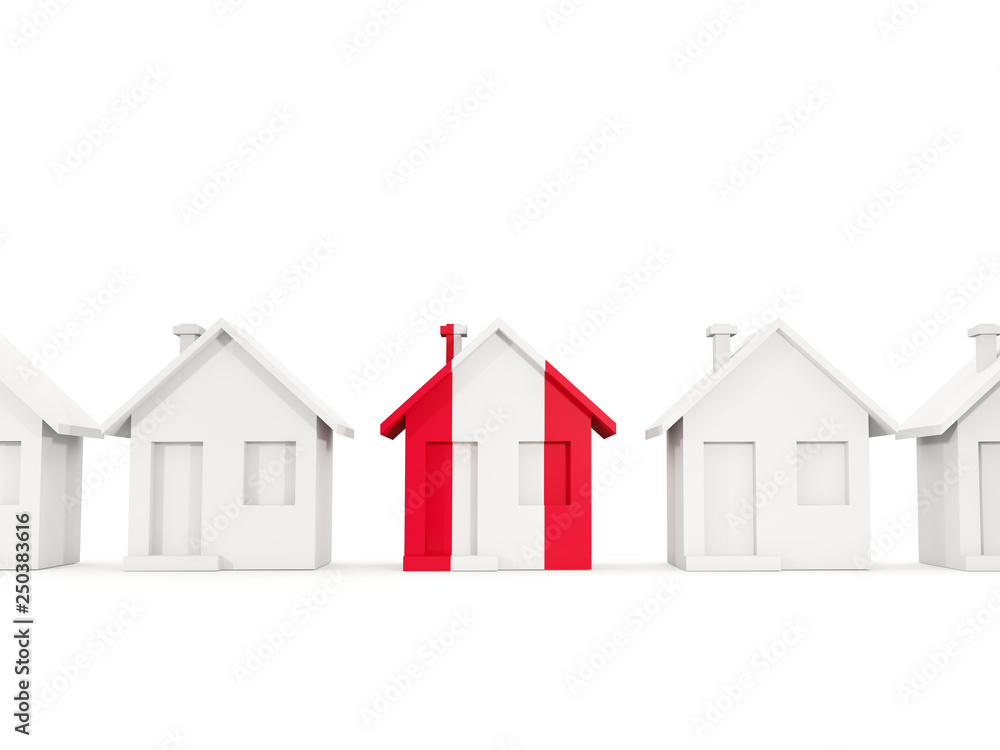 House with flag of peru House with flag of peru