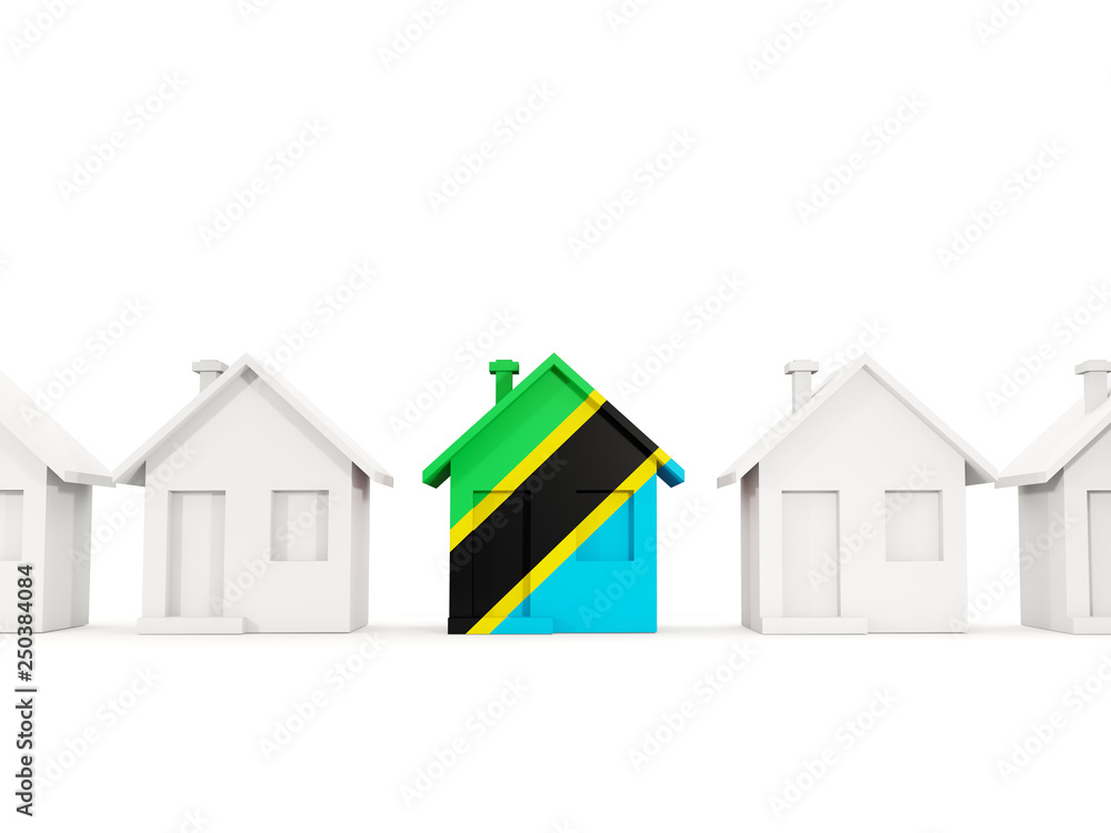 House with flag of tanzania House with flag of tanzania