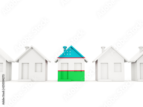 House with flag of uzbekistan