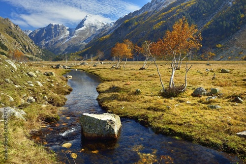 Brook in mountains photo