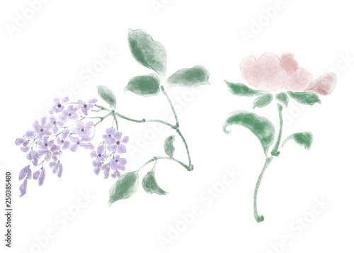 Digital illustration of flowers  isolated.